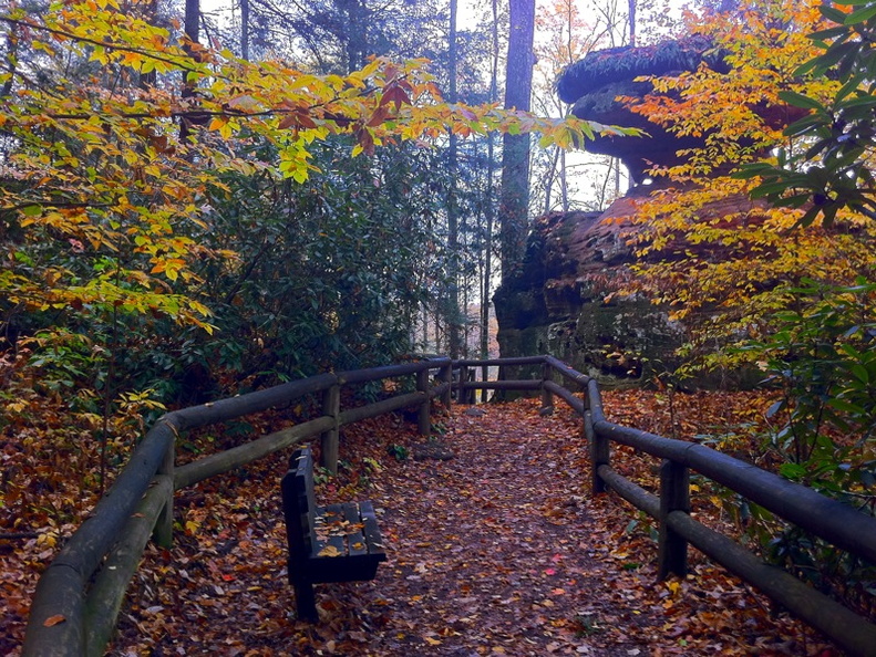 Natural Bridge State Park